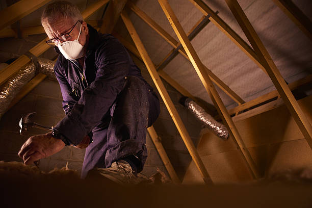 Best Fiberglass Insulation in Lowell, MI