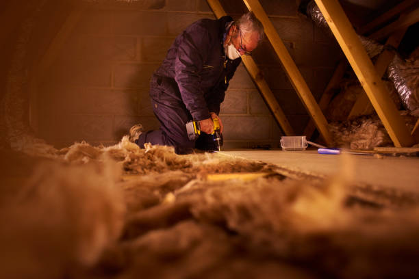 Best Insulation Maintenance and Repair in Lowell, MI
